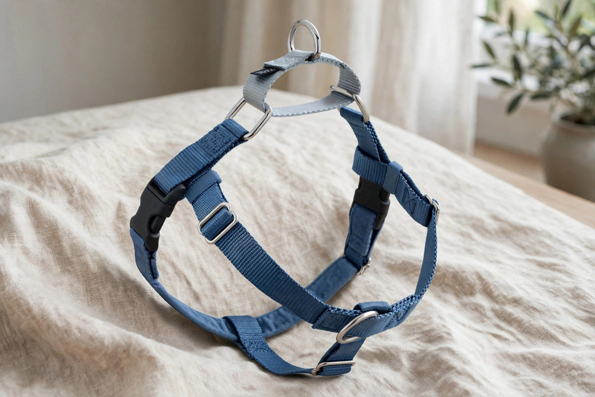 Freedom Harness